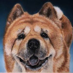 Custom ORIGINAL Handmade Pastel Pet Portraits of YOUR FURBABY!!!